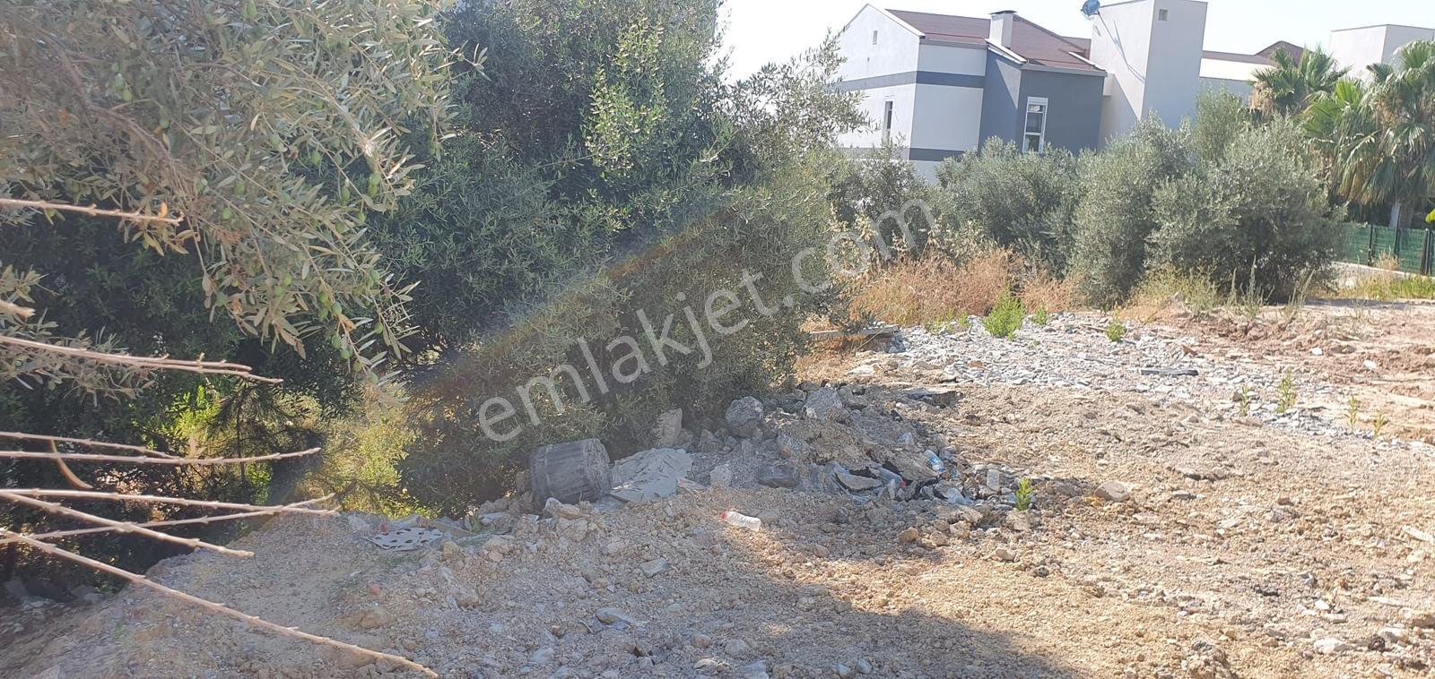 Kuşadası Satılık Arsa - Görsel 15