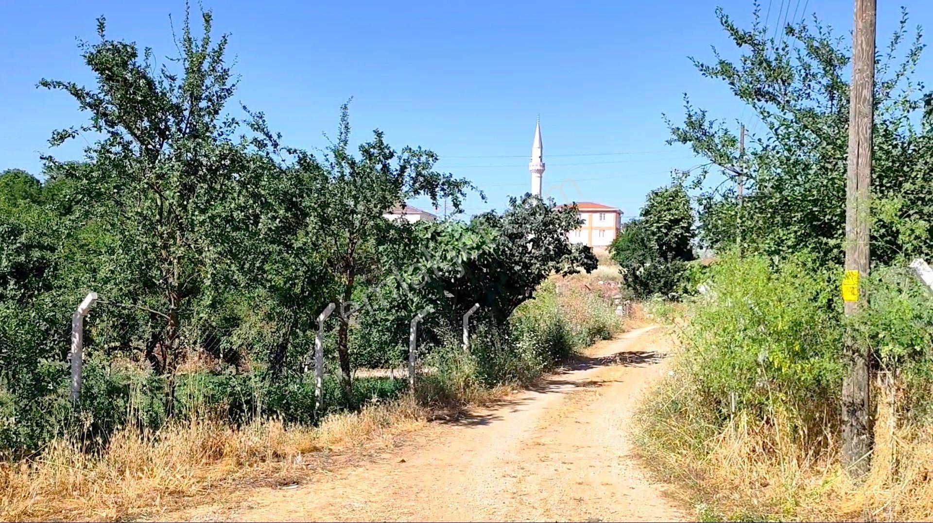 Kazdağları Uzantılarında Eşyalı Taş Köy Evi, Kaplıcaya 2 Km Altyapısı Tam, Çanakkale Çan Bardakçılar - Görsel 29