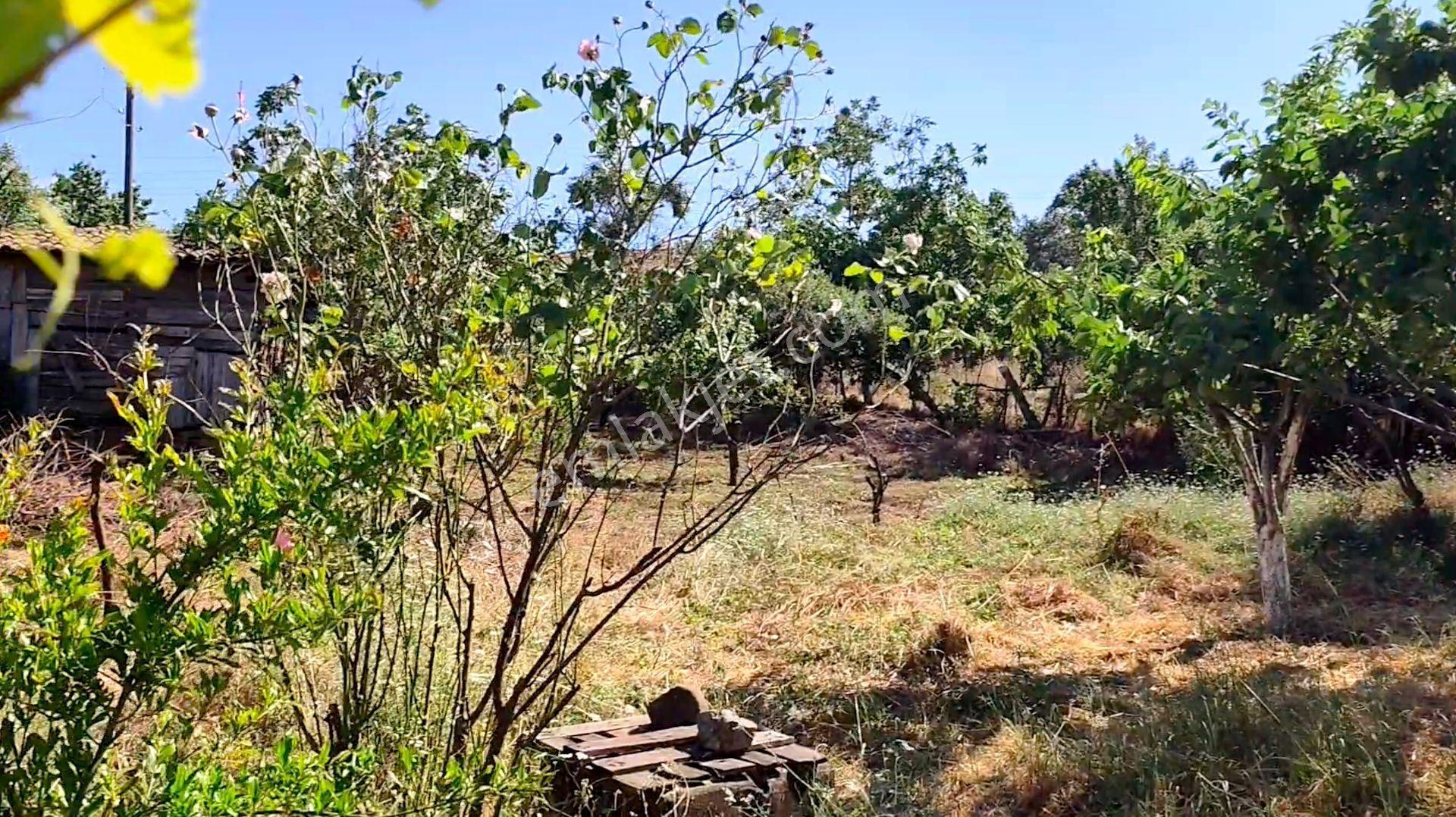 Kazdağları Uzantılarında Eşyalı Taş Köy Evi, Kaplıcaya 2 Km Altyapısı Tam, Çanakkale Çan Bardakçılar - Görsel 31