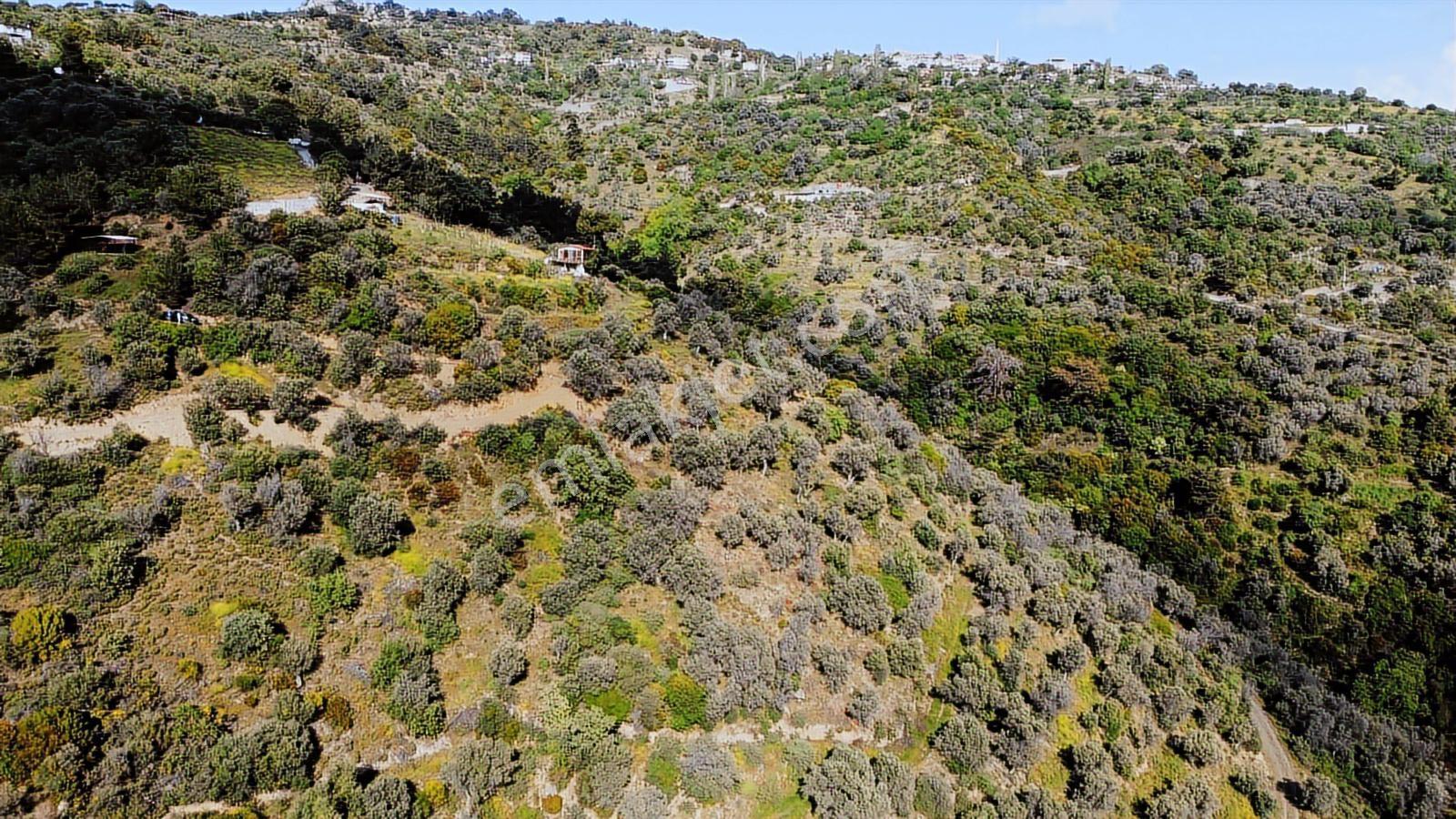 Güzelbahçe Payamlı Köyünde Yatırımlık Fırsat Tarla