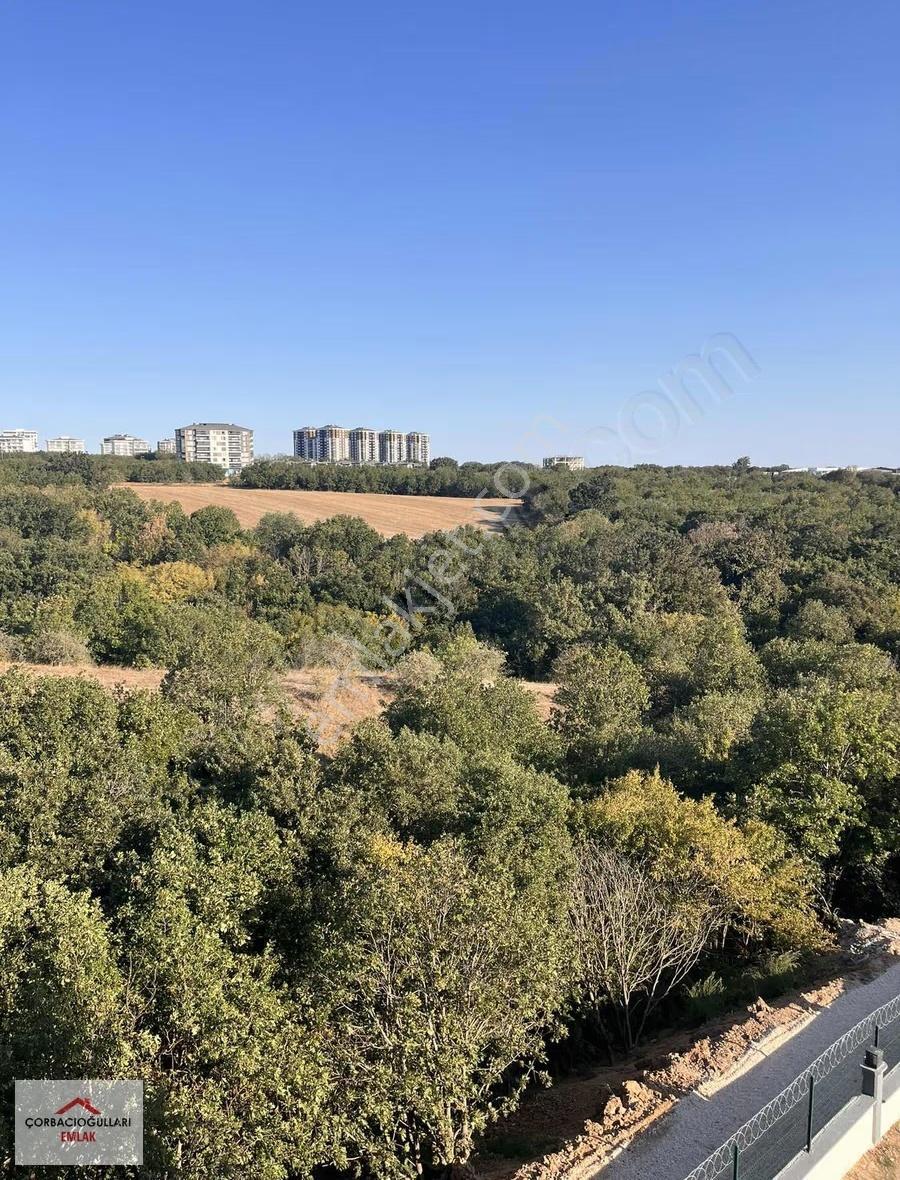 Tepe Danış Dıamond Sitesi 1+1 Doğa Manzara Ara Kat - Görsel 21