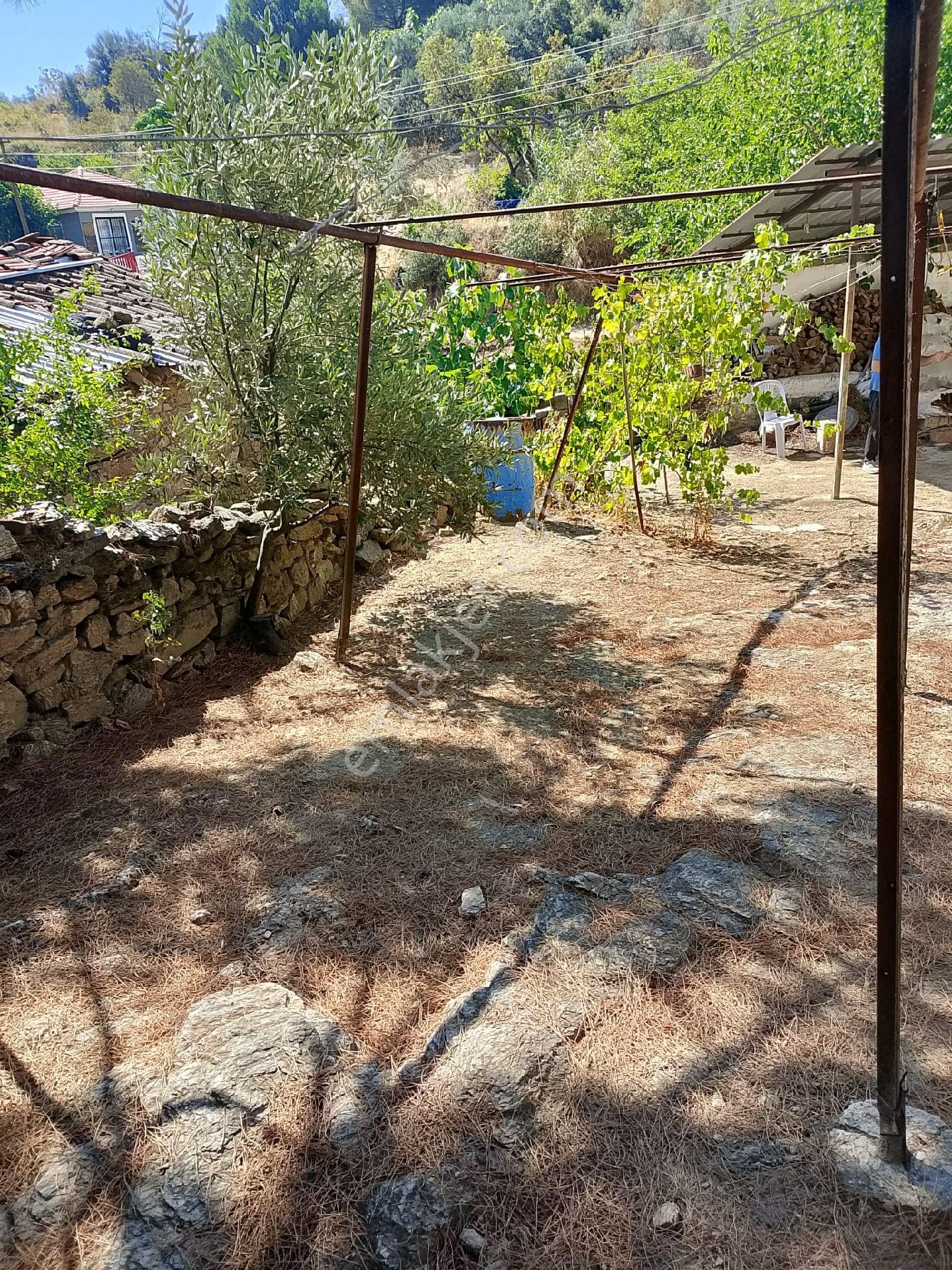 Aydın Koçarlı Bıyıklı Mah.625m M2 Arsa İçinde Geniş Bahçeli 2+1 Satılık Müstakil Ev - Görsel 3