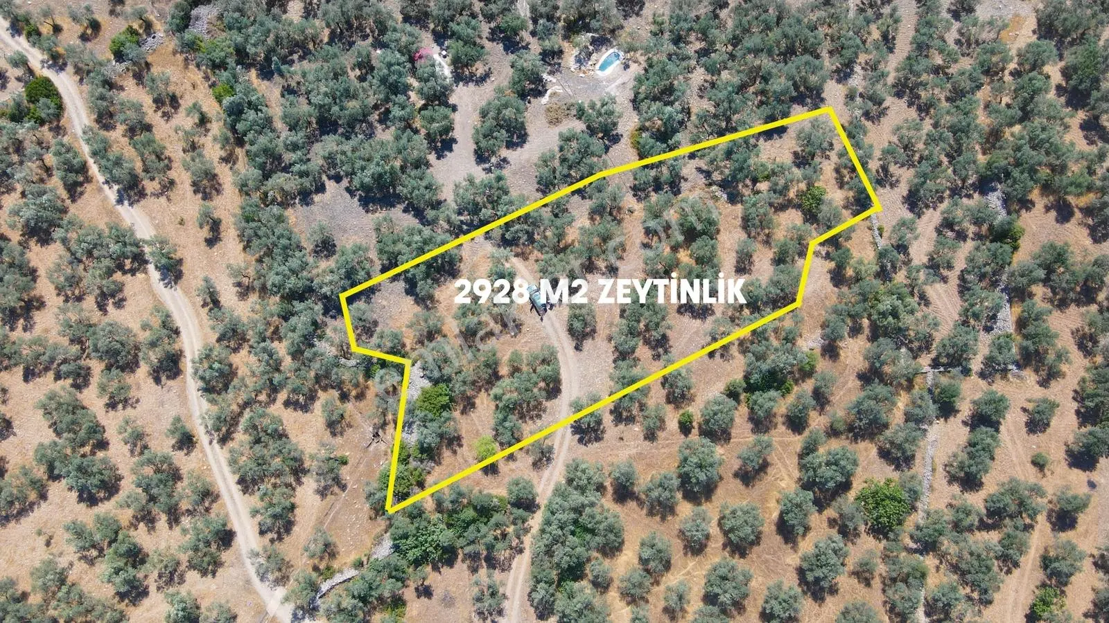 Meşhur Köyde Tertemiz Konumda Yatırım Fırsatı Satılık Zeytinlik - Görsel 10