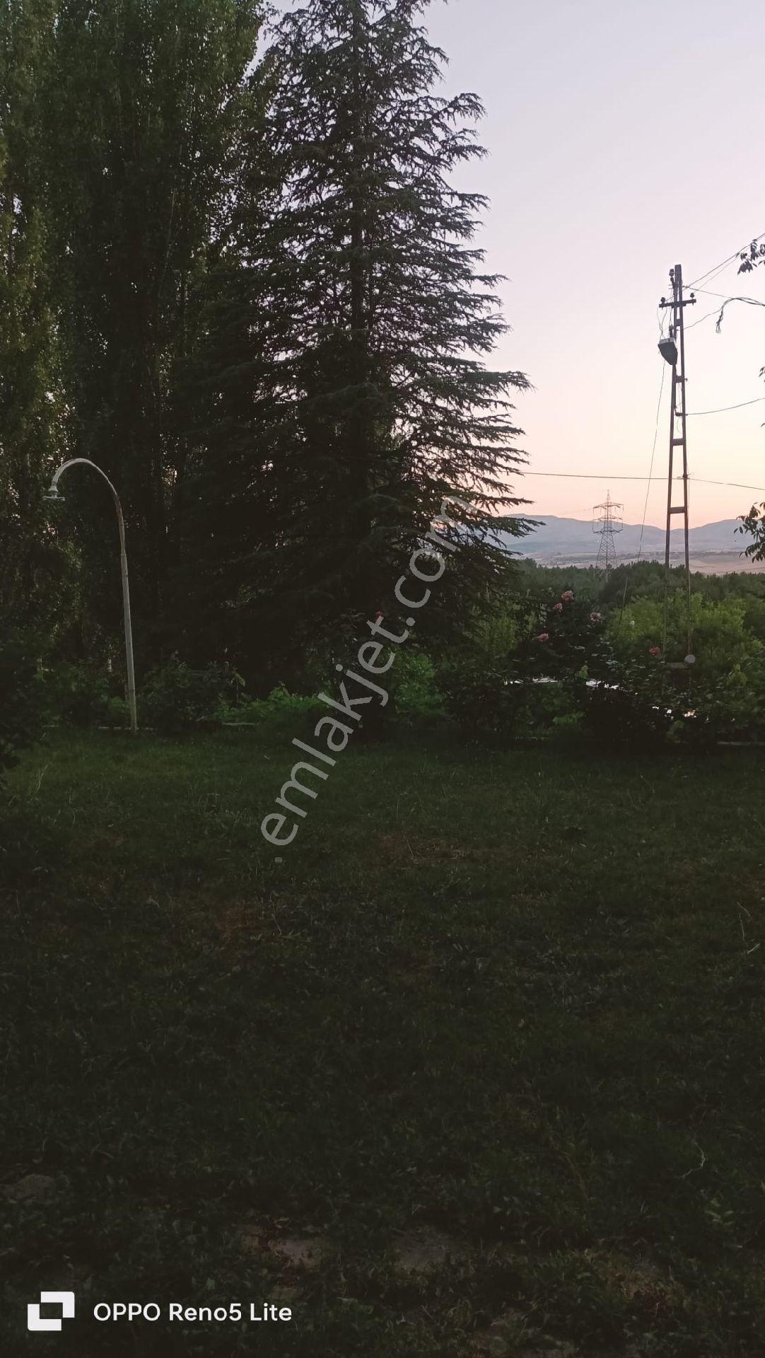 Elazığ Premar Meva Gayrimenkul'den Cip Mesire Alanının Yakınında Satılık Bahçe - Görsel 11