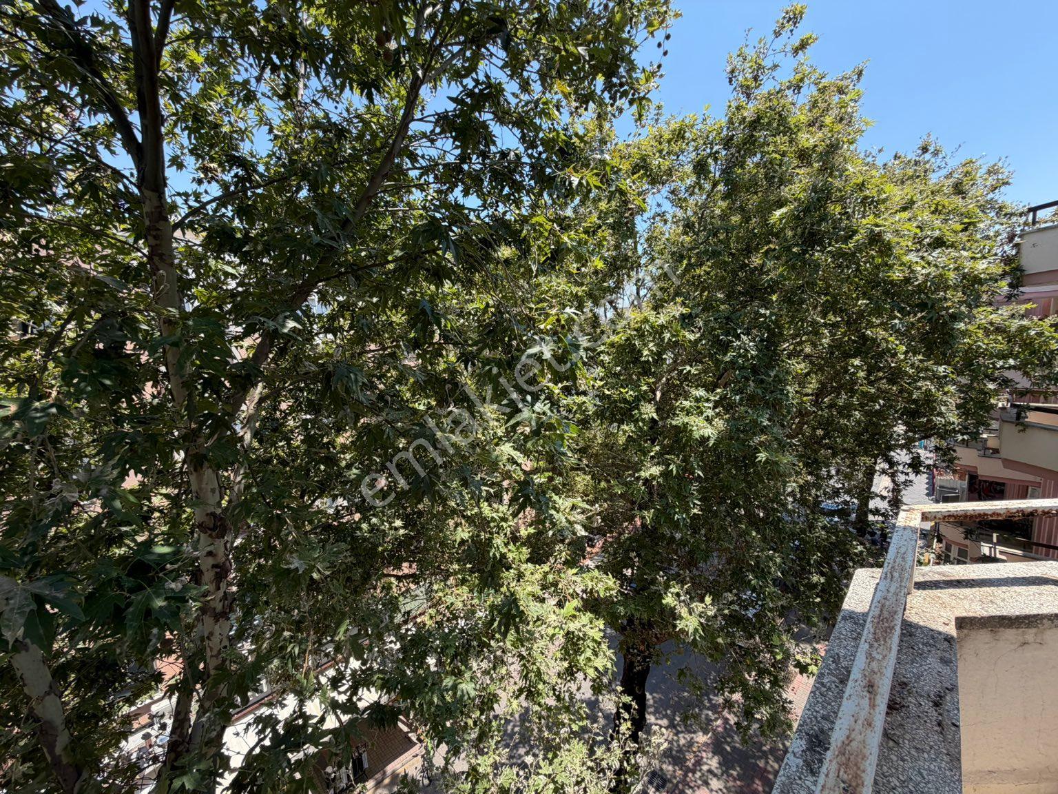Alanya Cuma Pazarı Civarında Kiralık 2+1 Ayrı Mutfak Daire - Görsel 3