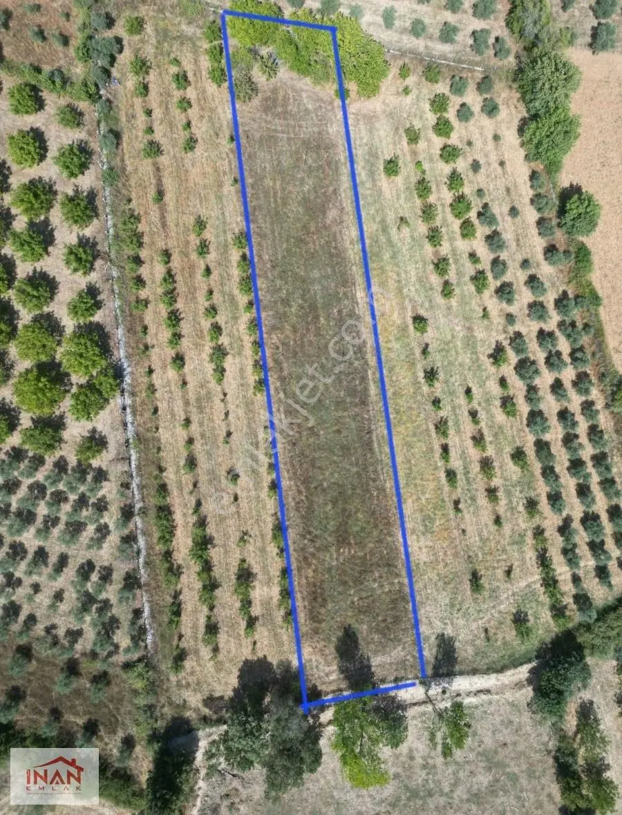 Yerkesikte Yerleşim Yakın 2400 M2 Kuyulu Elektrikli Tarla - Görsel 5