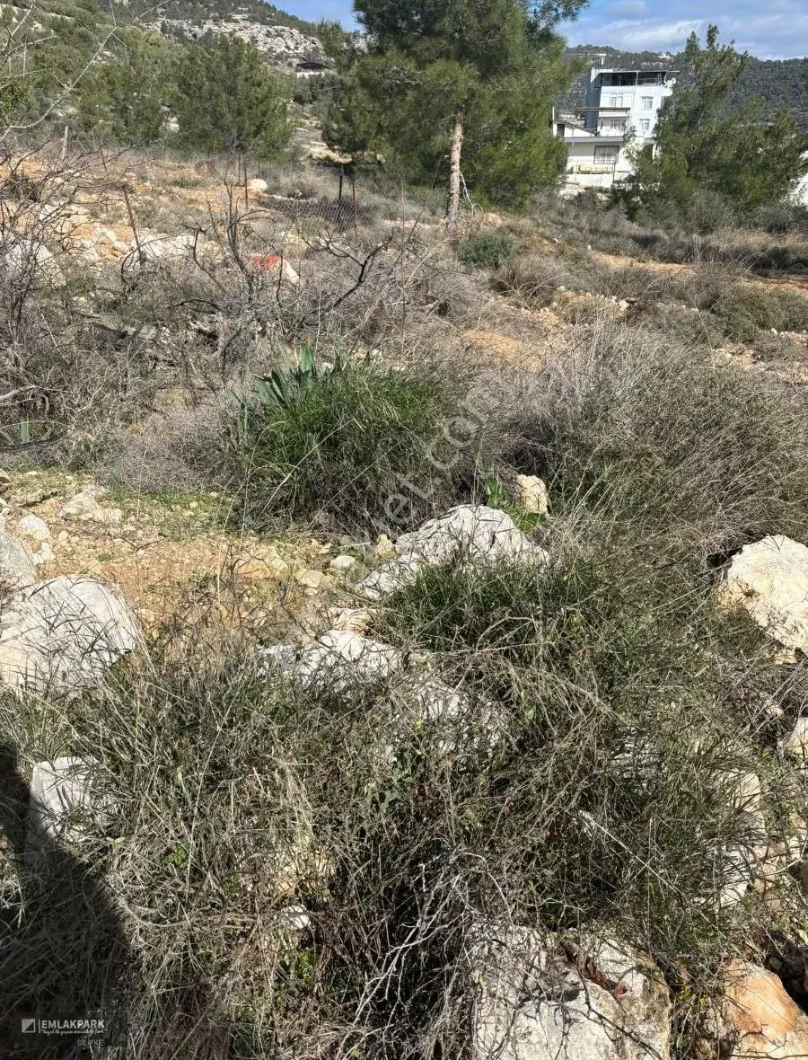 Emlakparkdan Bucaklı Mah Eyceli Mevkisinde Köşe Başı Arsa