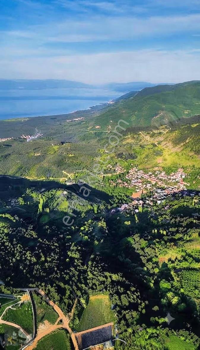 Bursa İznik Gürmüzlü Harika Manzaralı Satılık Arazi - Görsel 5