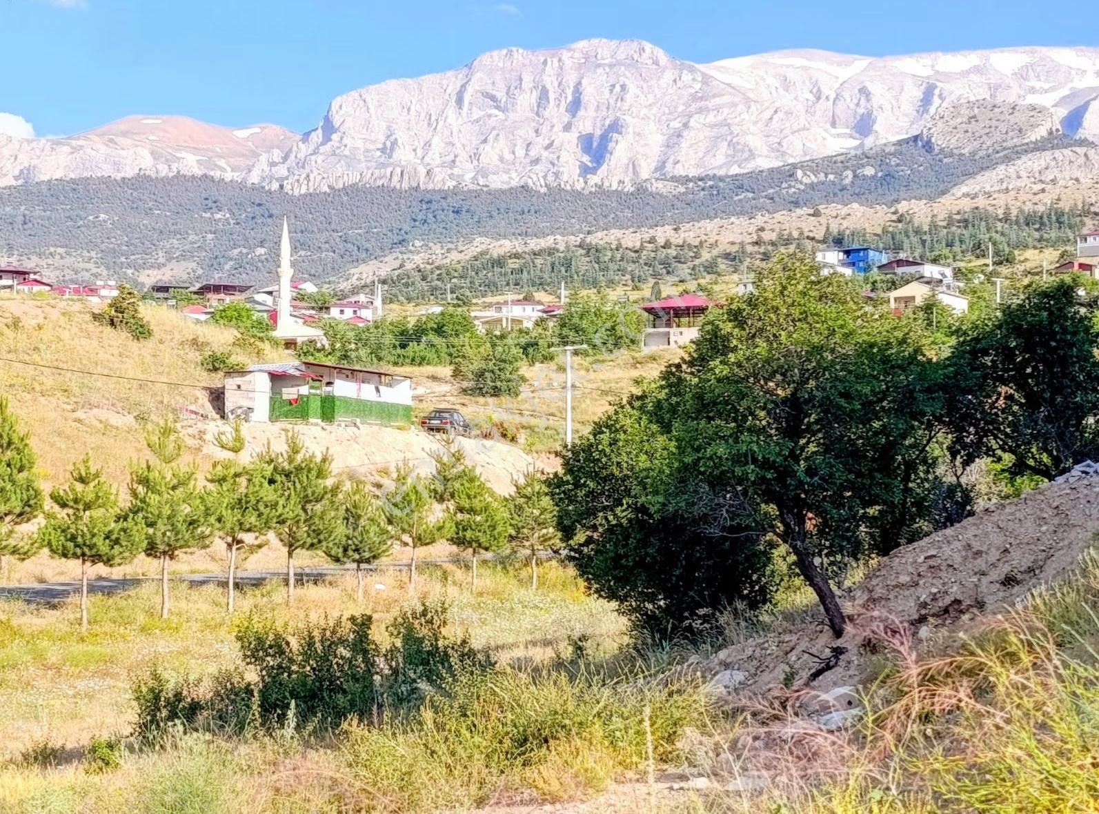 715m2 İmarlı Köşe Başı Tek Tapu Yaylalık Arsa - Görsel 7