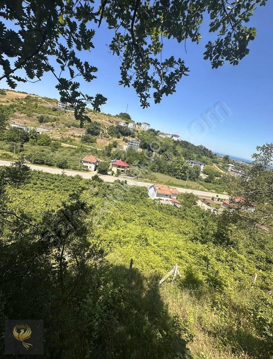 Atakum Taflanda Deniz Manzaralı 4 Kata İmarlı Fırsat Arsa - Görsel 11