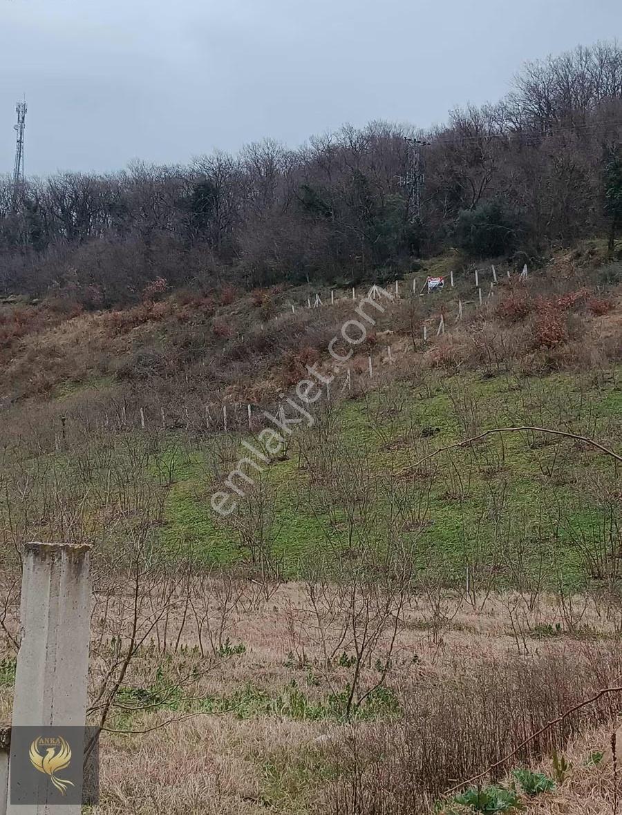 Atakum Taflanda Deniz Manzaralı 4 Kata İmarlı Fırsat Arsa - Görsel 14