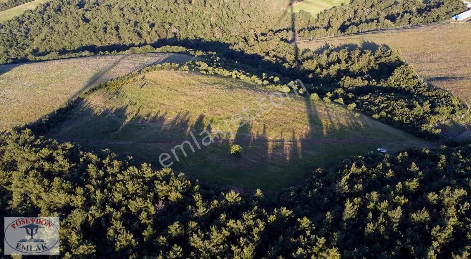 Bayramiç Bıyıklı Köyü 39.300 M2 Tek Tapu Dev Tarla Yola Cephe - Görsel 21