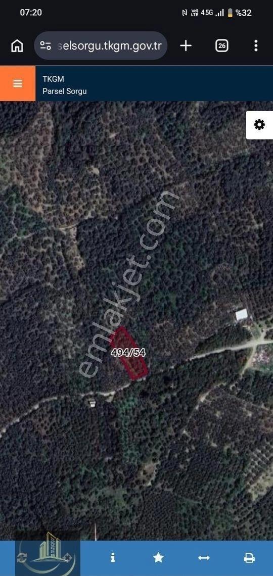 Edincik Mah 1438 M Satilik Zeytinlik - Görsel 4