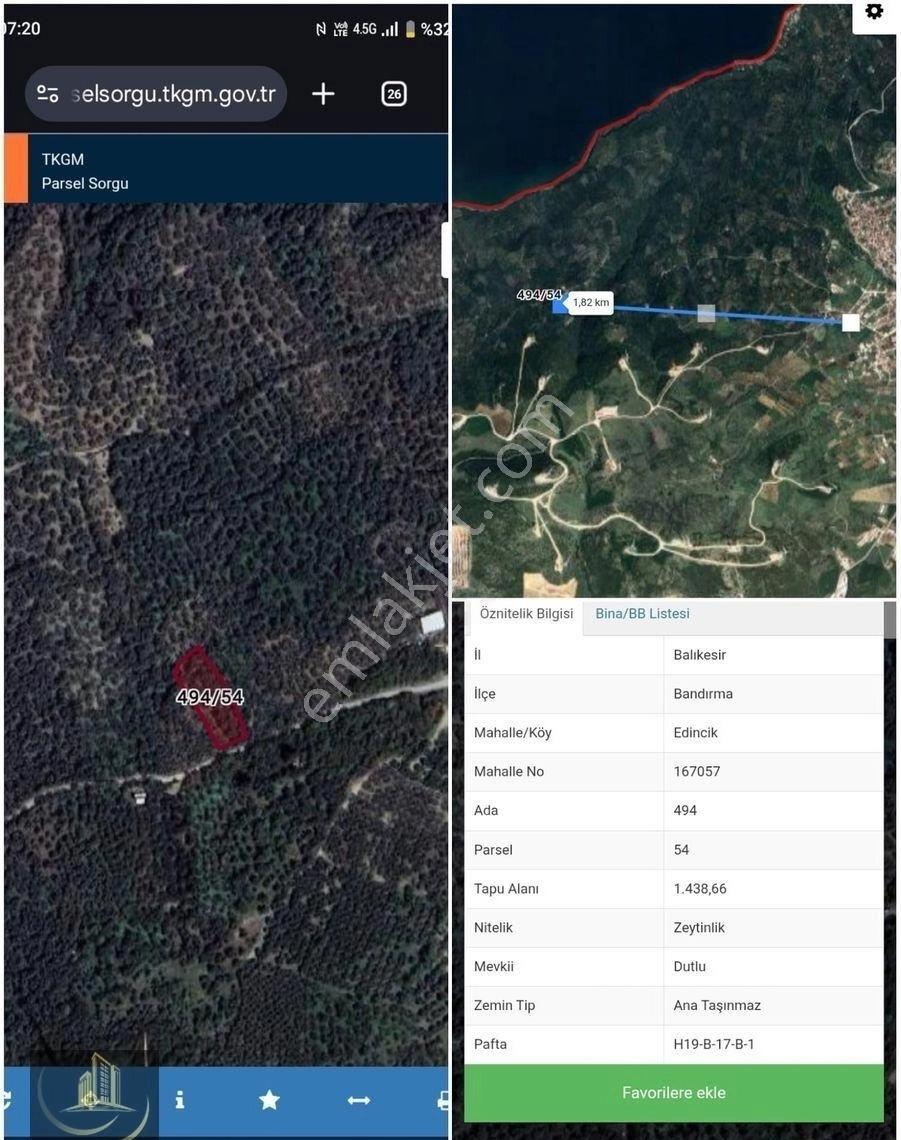 Edincik Mah 1438 M Satilik Zeytinlik - Görsel 2