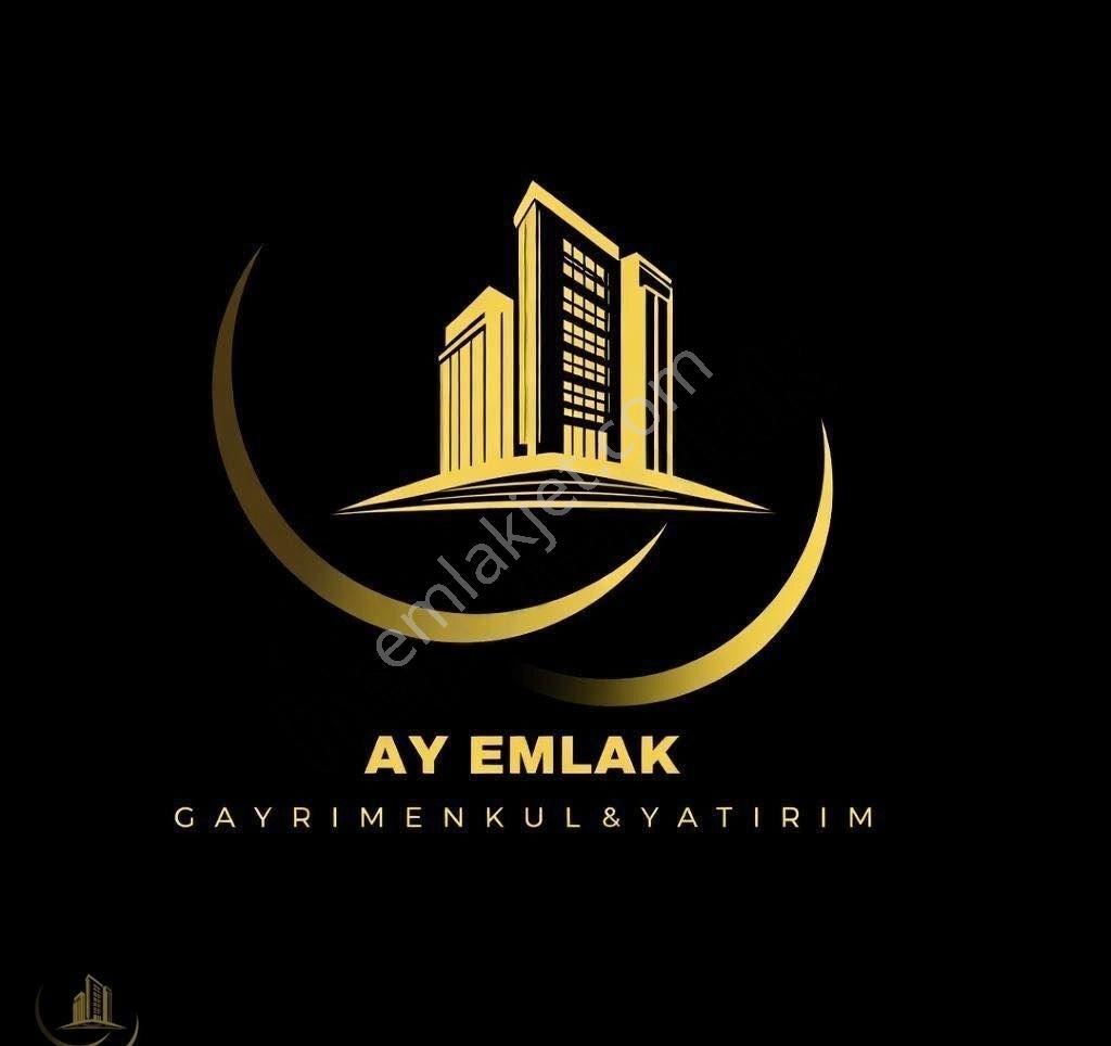 Edincik Mah 1438 M Satilik Zeytinlik