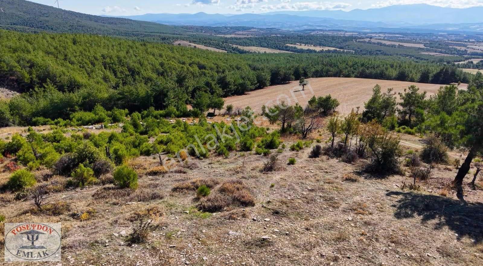 Bayramiç Palamutoba Köyü 3.981 M² İmar Sınırında Yola Cephe - Görsel 4