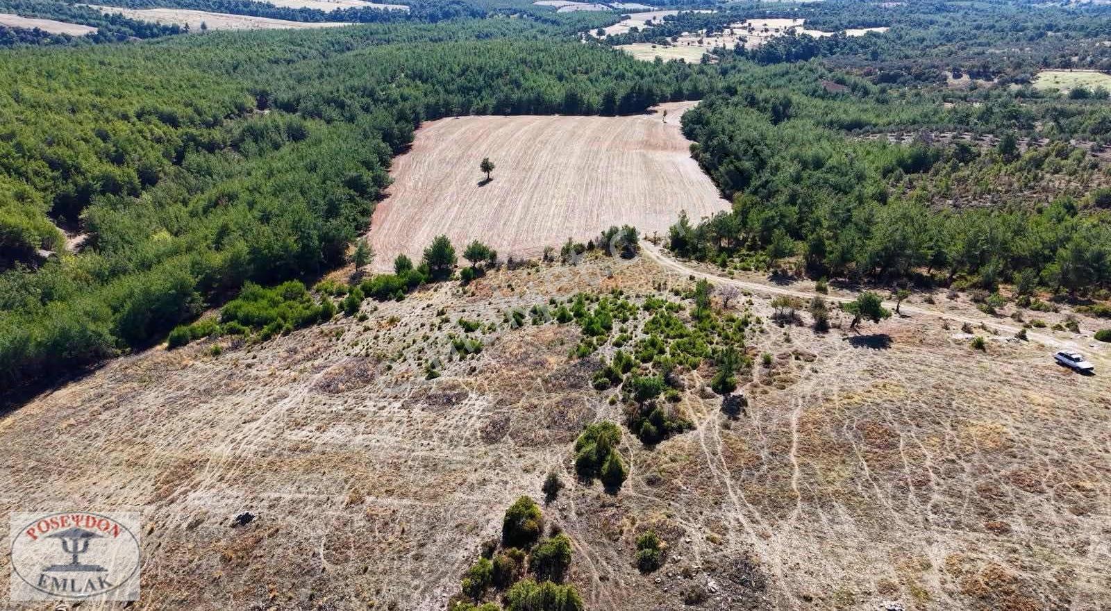 Bayramiç Palamutoba Köyü 3.981 M² İmar Sınırında Yola Cephe - Görsel 6