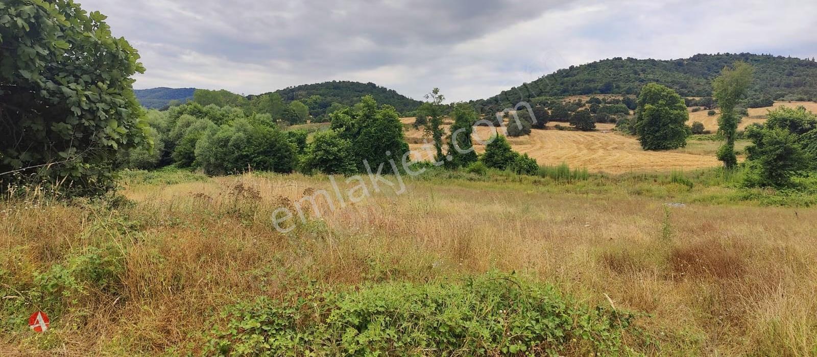 Lapseki, Güreci, Yola Cephe, 4.187 M2 Satılık Arazi - Görsel 8