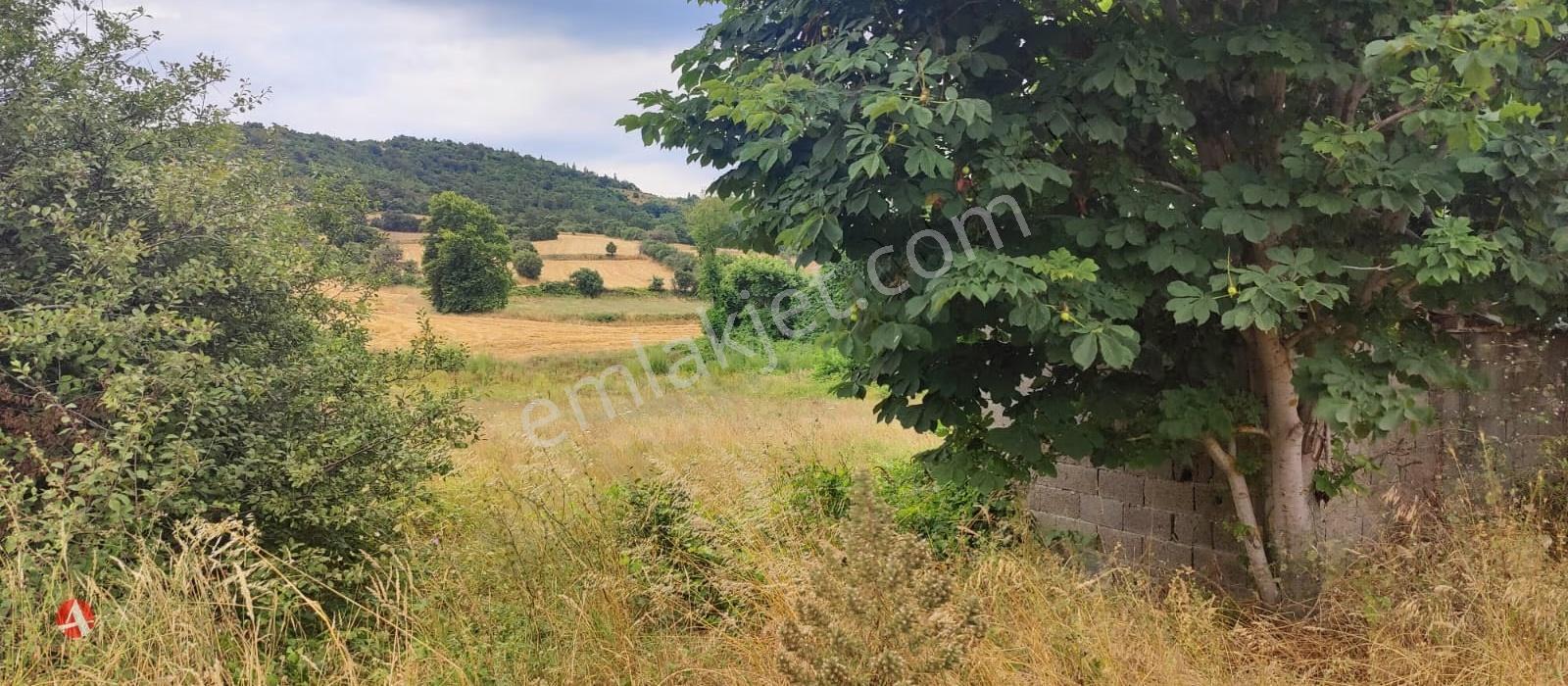 Lapseki, Güreci, Yola Cephe, 4.187 M2 Satılık Arazi - Görsel 6