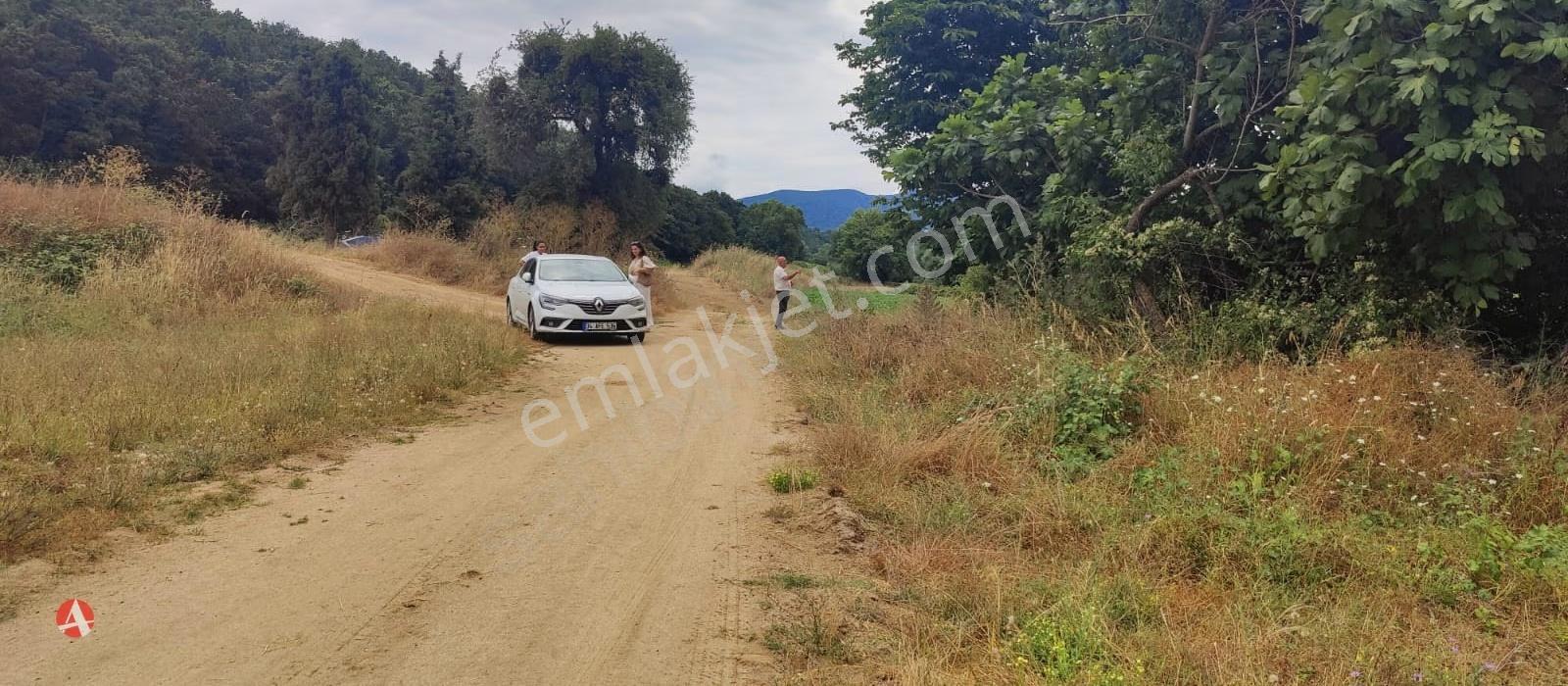 Lapseki, Güreci, Yola Cephe, 4.187 M2 Satılık Arazi