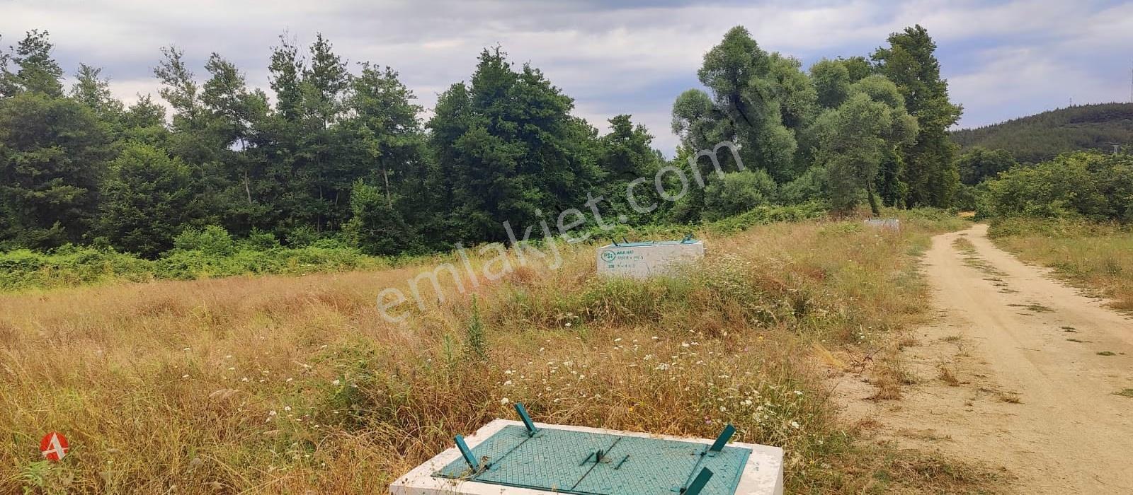 Lapseki, Güreci, Yola Cephe, 4.187 M2 Satılık Arazi - Görsel 11