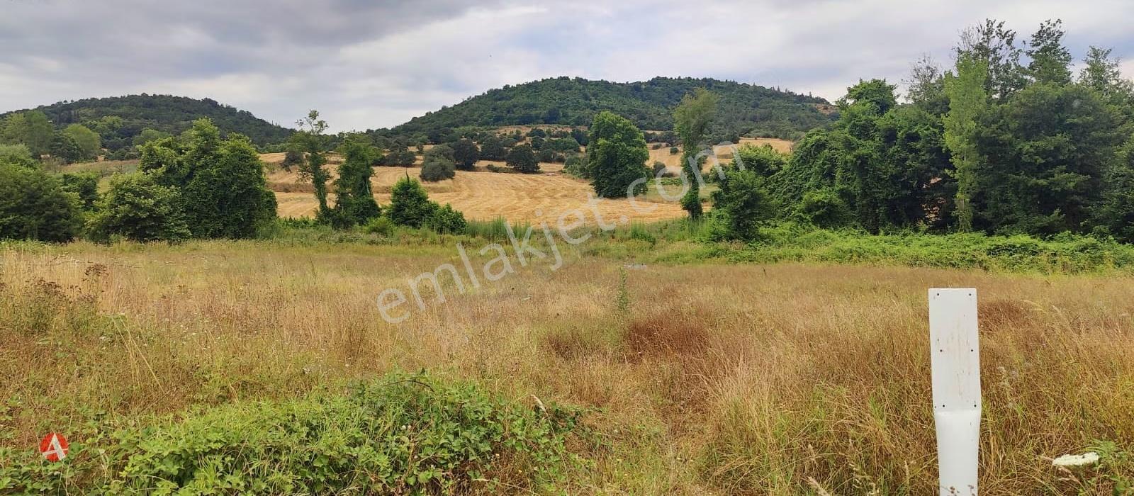 Lapseki, Güreci, Yola Cephe, 4.187 M2 Satılık Arazi - Görsel 7