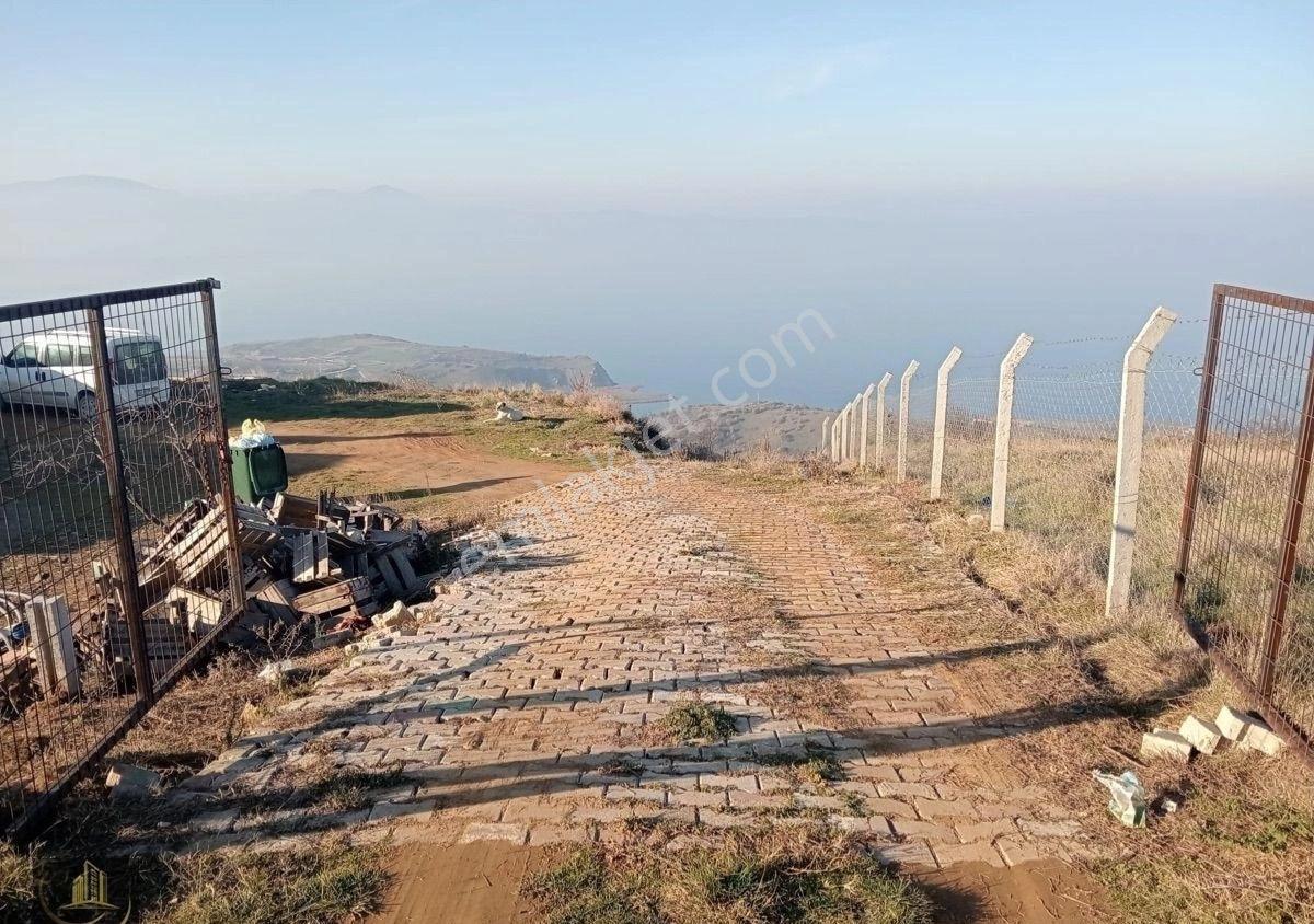 Bandırma Dutlimanda 2.500m2 Deniz Manzaralı Küçükbaş Hayvan Ruhsatlı Arazi - Görsel 26