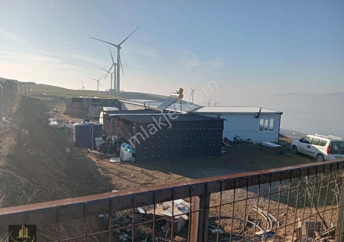 Bandırma Dutlimanda 2.500m2 Deniz Manzaralı Küçükbaş Hayvan Ruhsatlı Arazi - Görsel 23