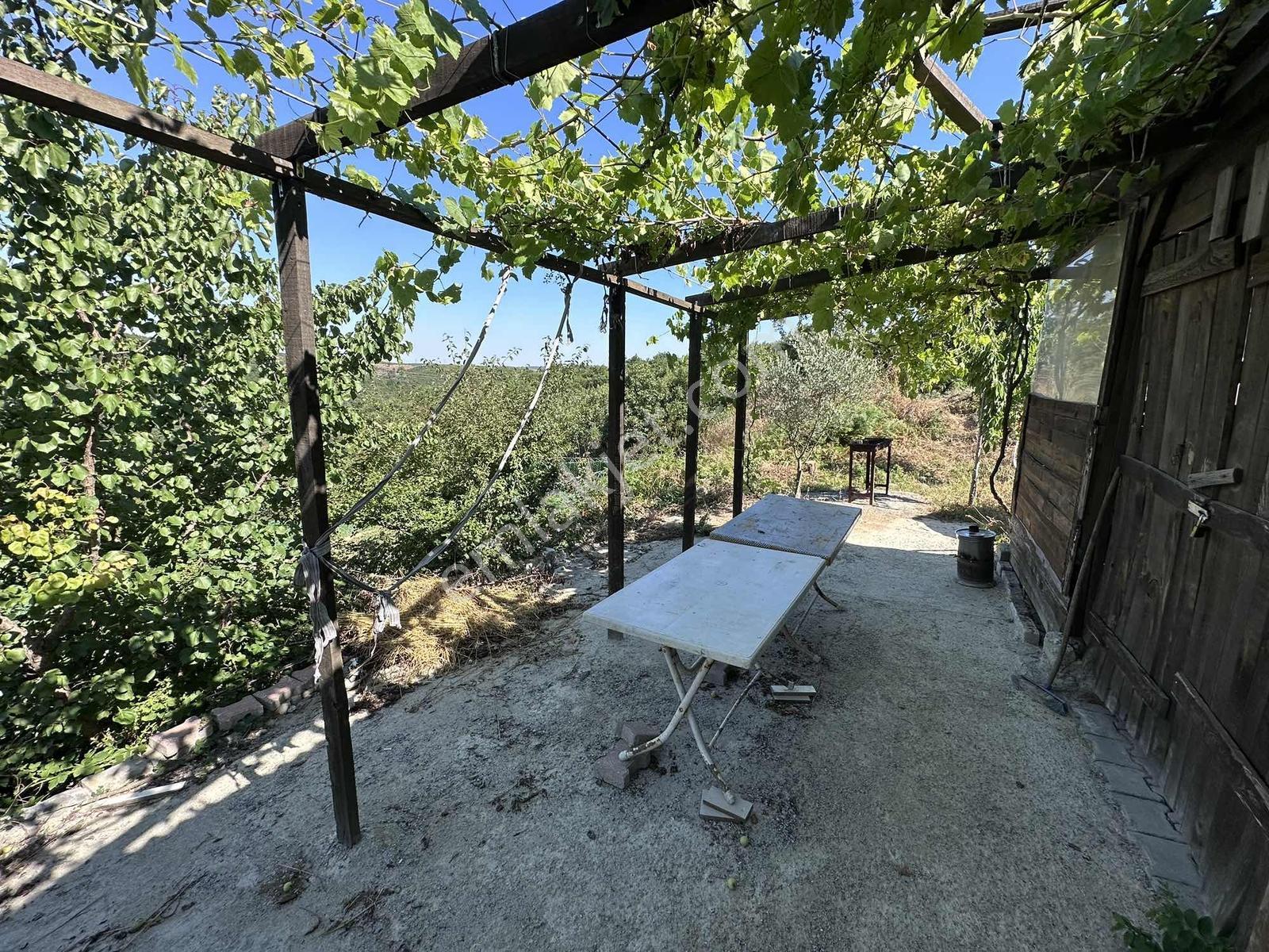 Yayla Mh Satılık 187 M2 Barakalı Arsa - Görsel 10