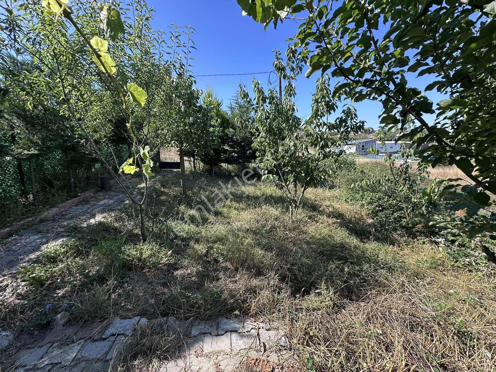 Yayla Mh Satılık 187 M2 Barakalı Arsa - Görsel 5