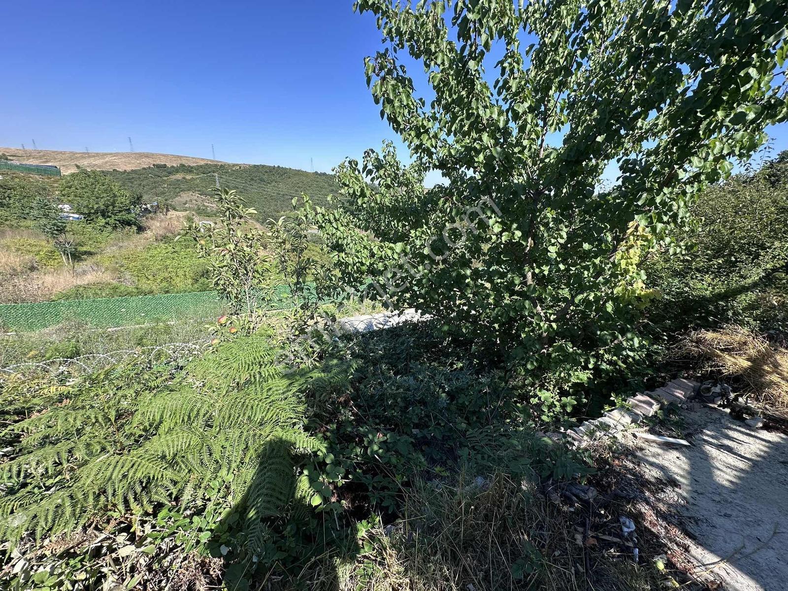 Yayla Mh Satılık 187 M2 Barakalı Arsa - Görsel 8