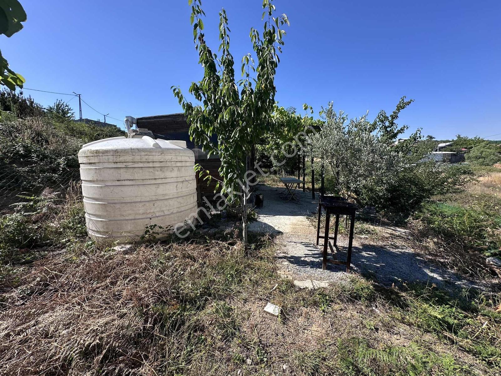 Yayla Mh Satılık 187 M2 Barakalı Arsa - Görsel 2