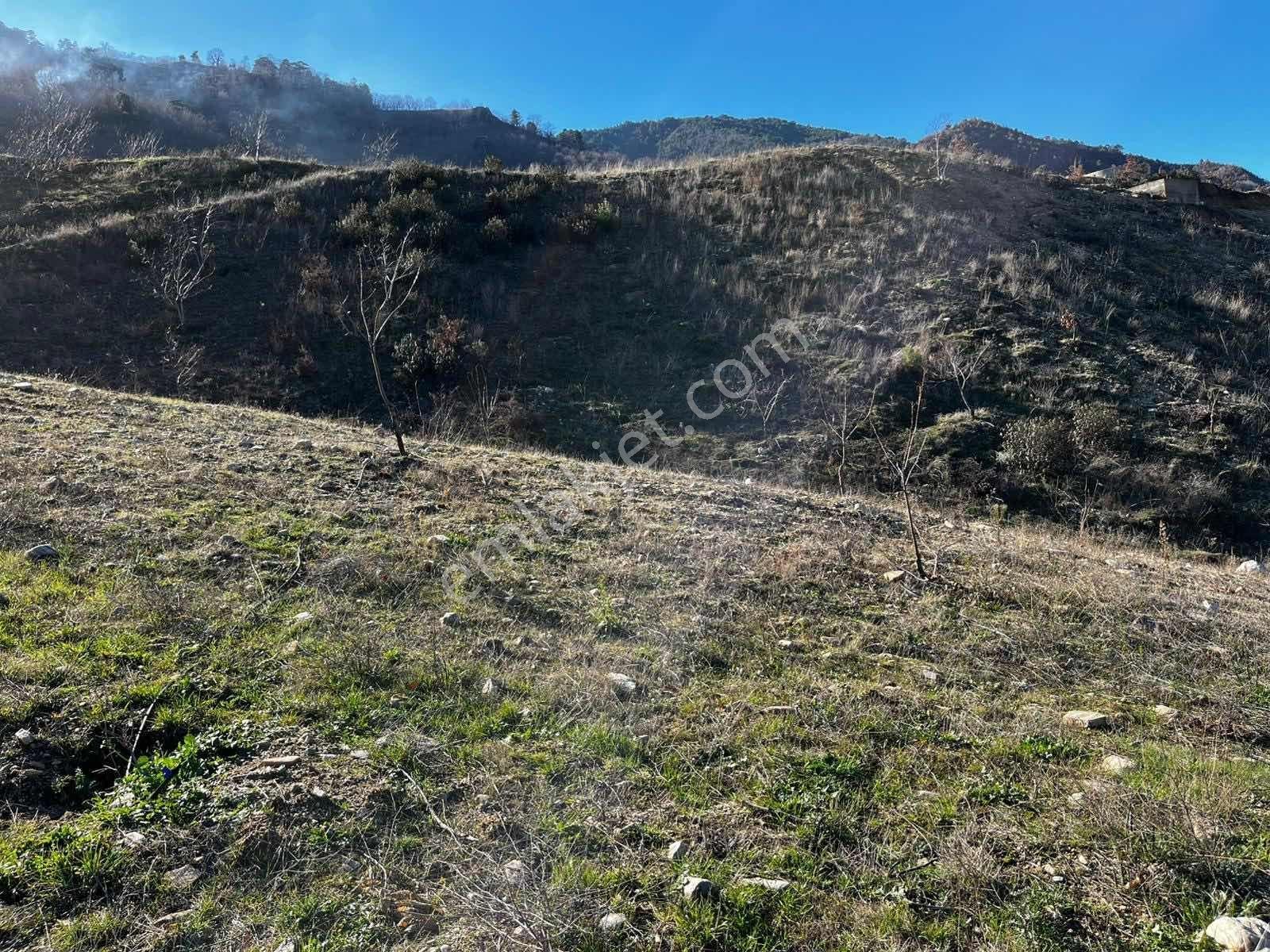 | Şehir'den | Aşağıyakacık 5555m2 Köy İçerisinde İmarlı Arsa - Görsel 6