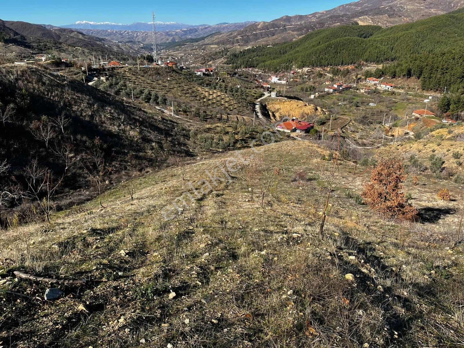 | Şehir'den | Aşağıyakacık 5555m2 Köy İçerisinde İmarlı Arsa - Görsel 9
