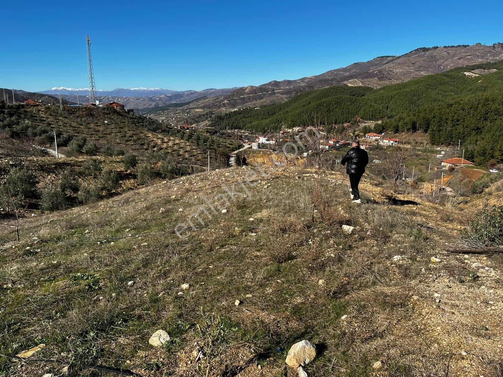 | Şehir'den | Aşağıyakacık 5555m2 Köy İçerisinde İmarlı Arsa - Görsel 3
