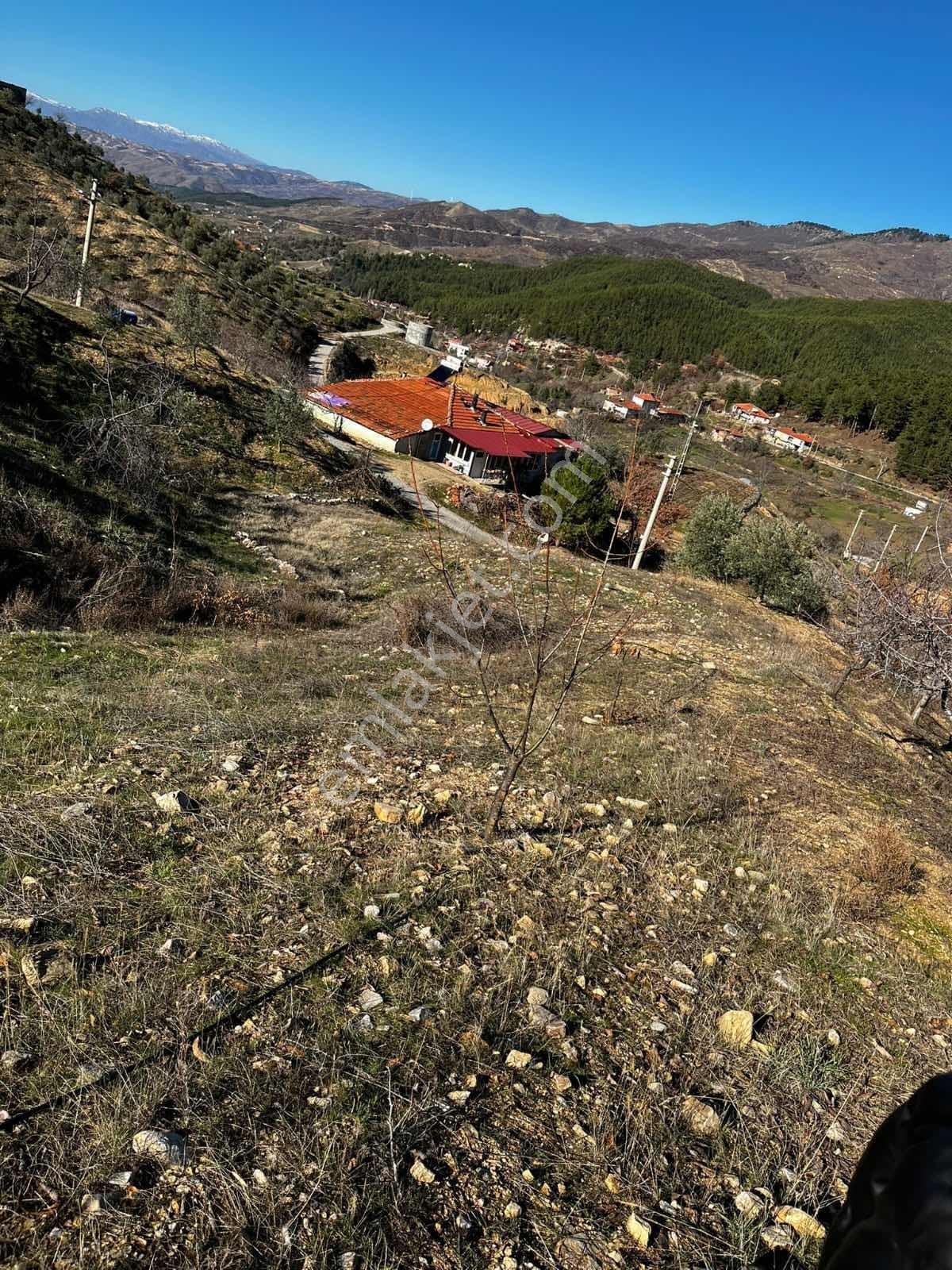 | Şehir'den | Aşağıyakacık 5555m2 Köy İçerisinde İmarlı Arsa - Görsel 5