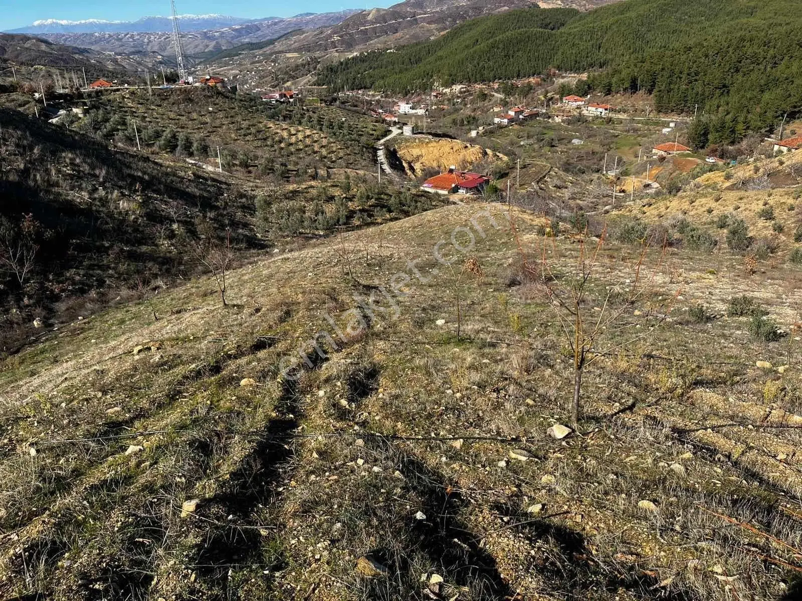 | Şehir'den | Aşağıyakacık 5555m2 Köy İçerisinde İmarlı Arsa - Görsel 12