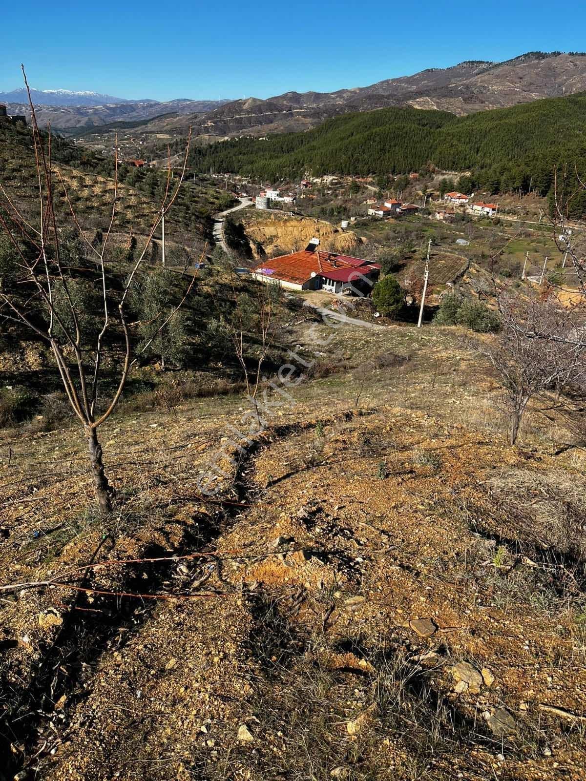 | Şehir'den | Aşağıyakacık 5555m2 Köy İçerisinde İmarlı Arsa - Görsel 8