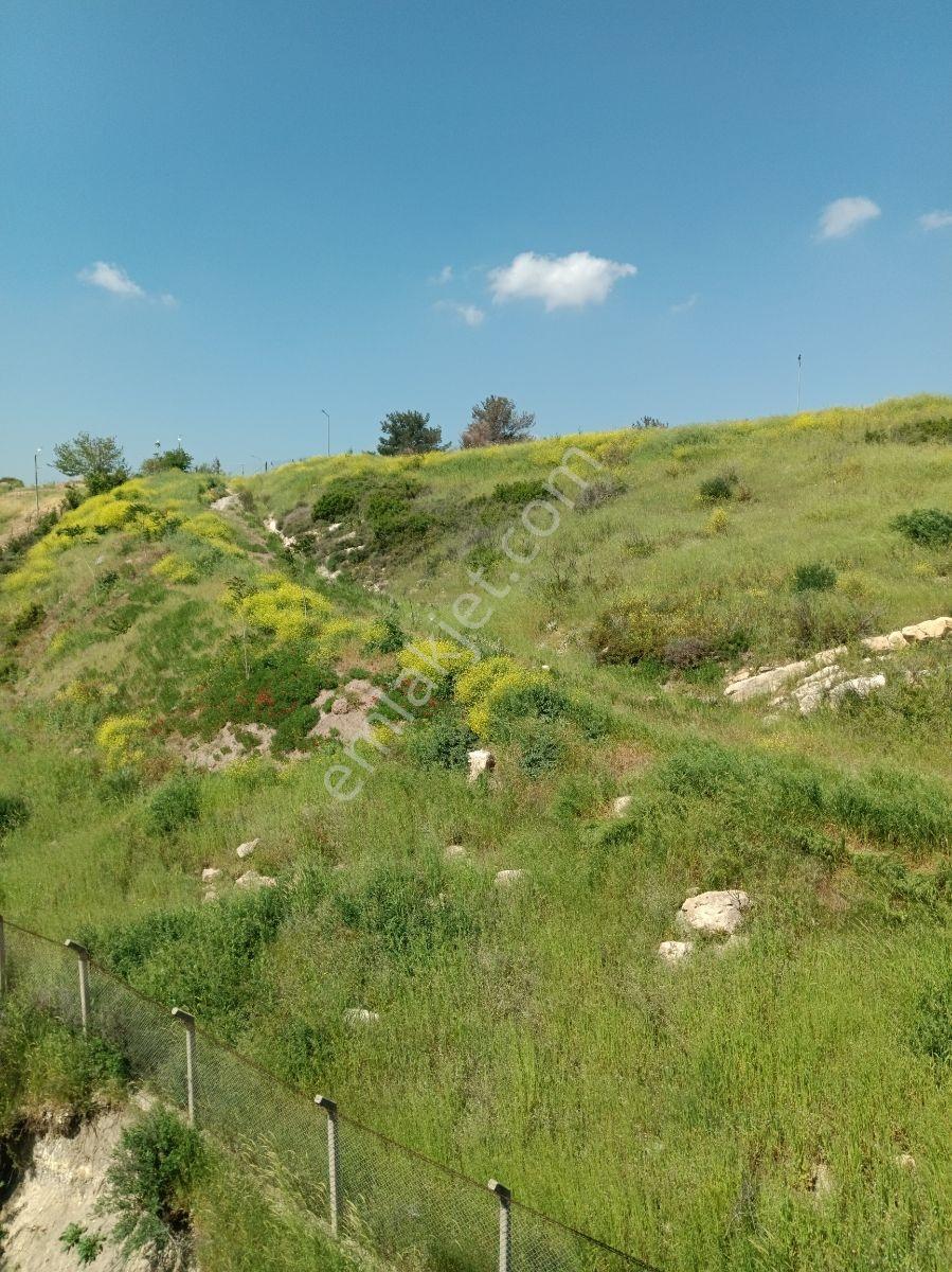 Çiğli Harmandalı Site İçerisi 3+1 Kiralık Daire - Görsel 19