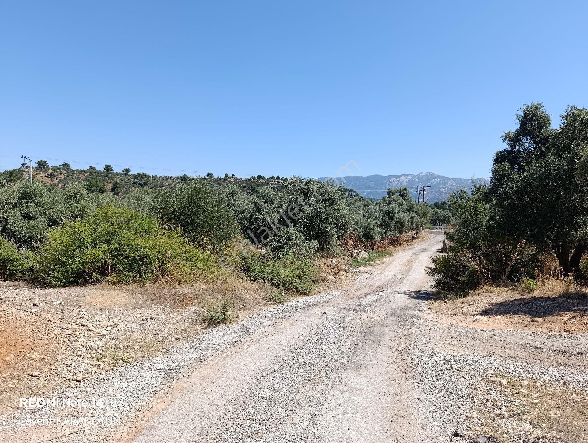 Milas Kurudere Köyünde Köyiçi Satılık Arazi - Görsel 6