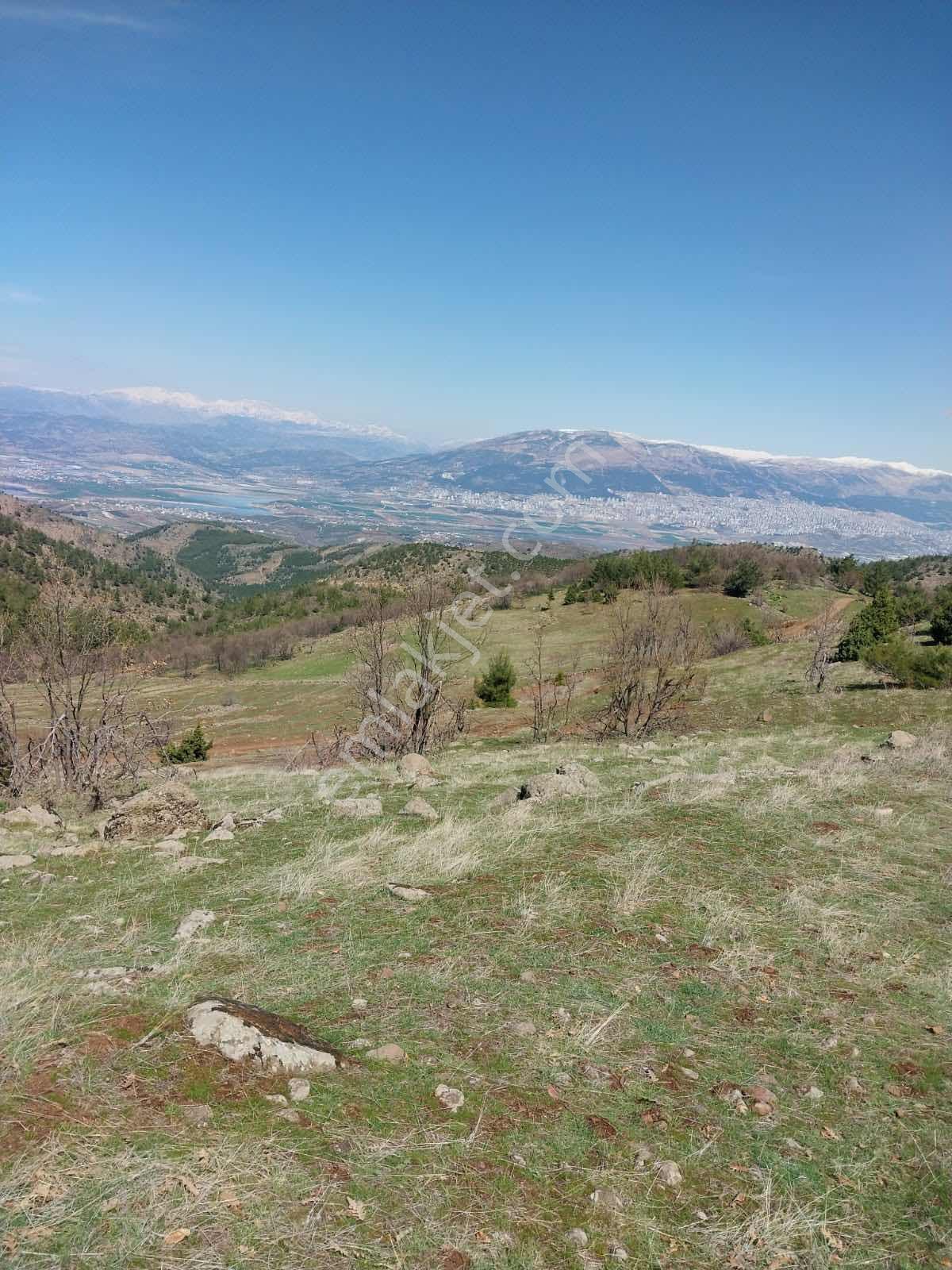 Germenıcıa'dan Önsende Satılık Tek Tapu Bağ - Görsel 4