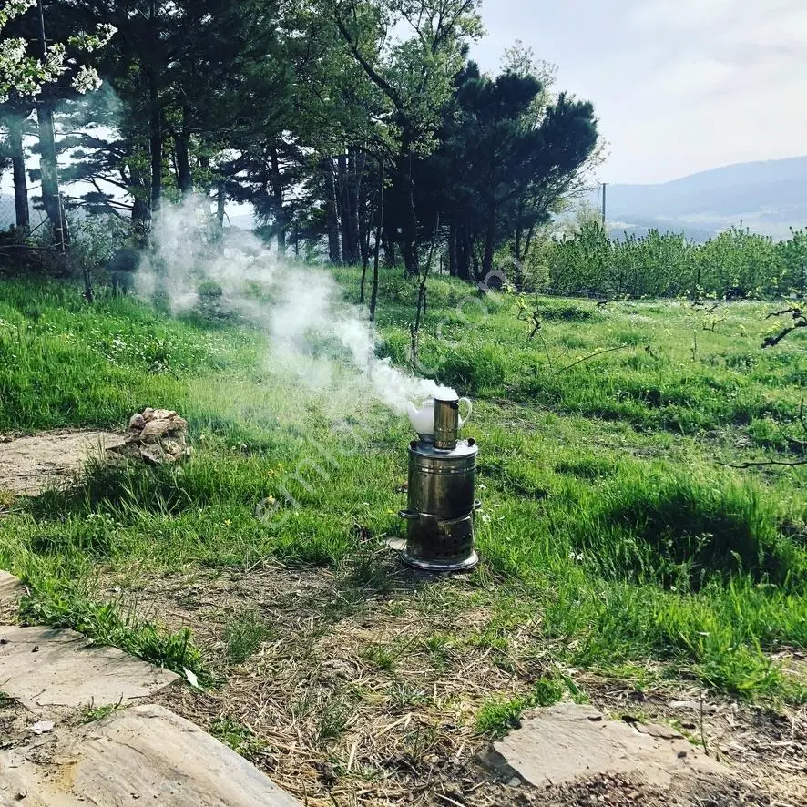 Sahibinden Satılık Orman Köyünde Müstakil Ev - İzmir - Görsel 4