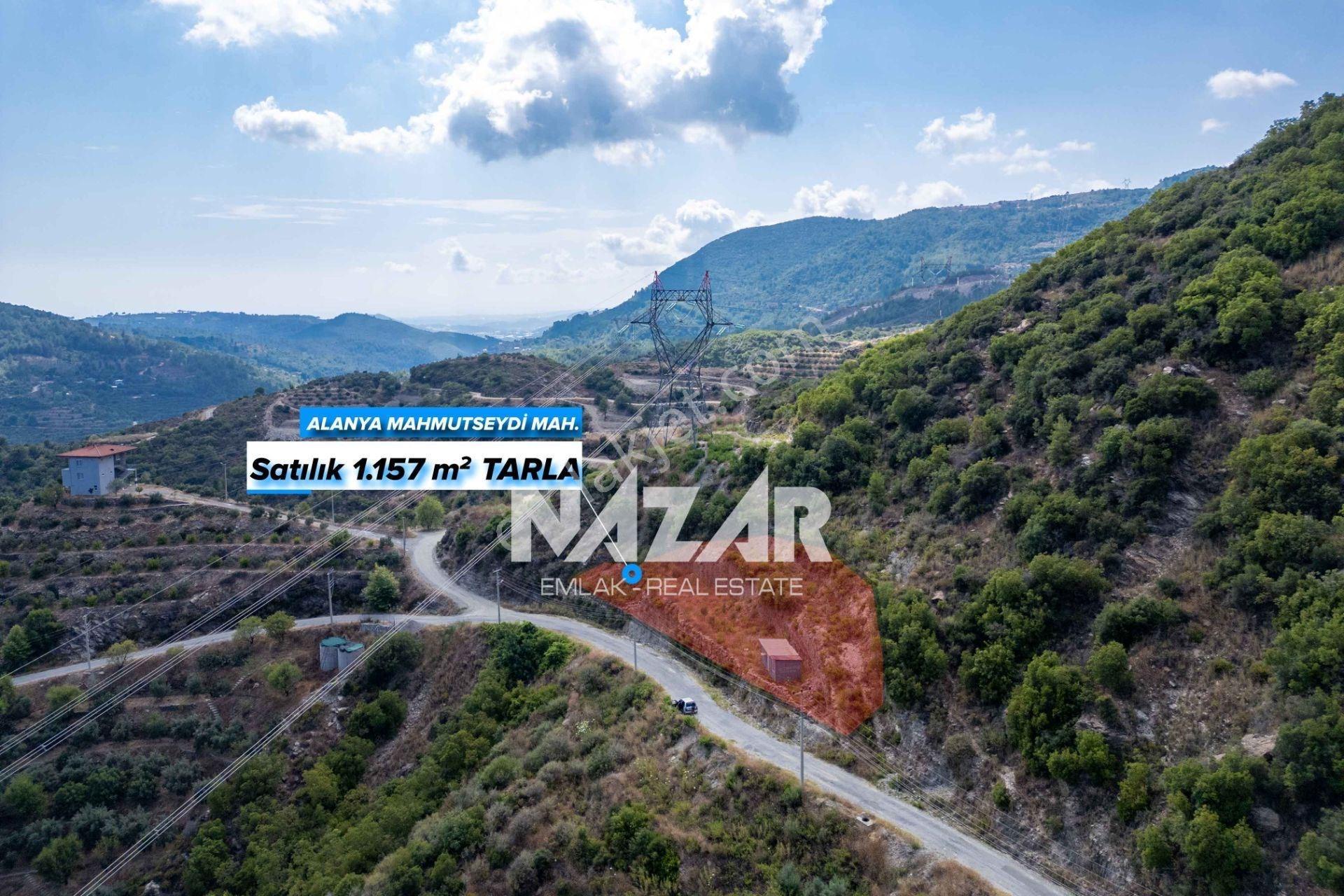 Alanya Mahmutseydi’de 1.157 M² Tarla Ve 1+1 Konteyner - Görsel 2