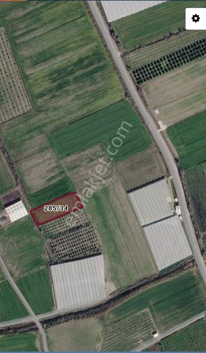 Yatırımcıların Dikkatine*sahil Bölgesi*tek Tapu*2.500m2* - Görsel 6