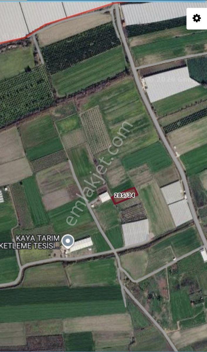 Yatırımcıların Dikkatine*sahil Bölgesi*tek Tapu*2.500m2* - Görsel 5