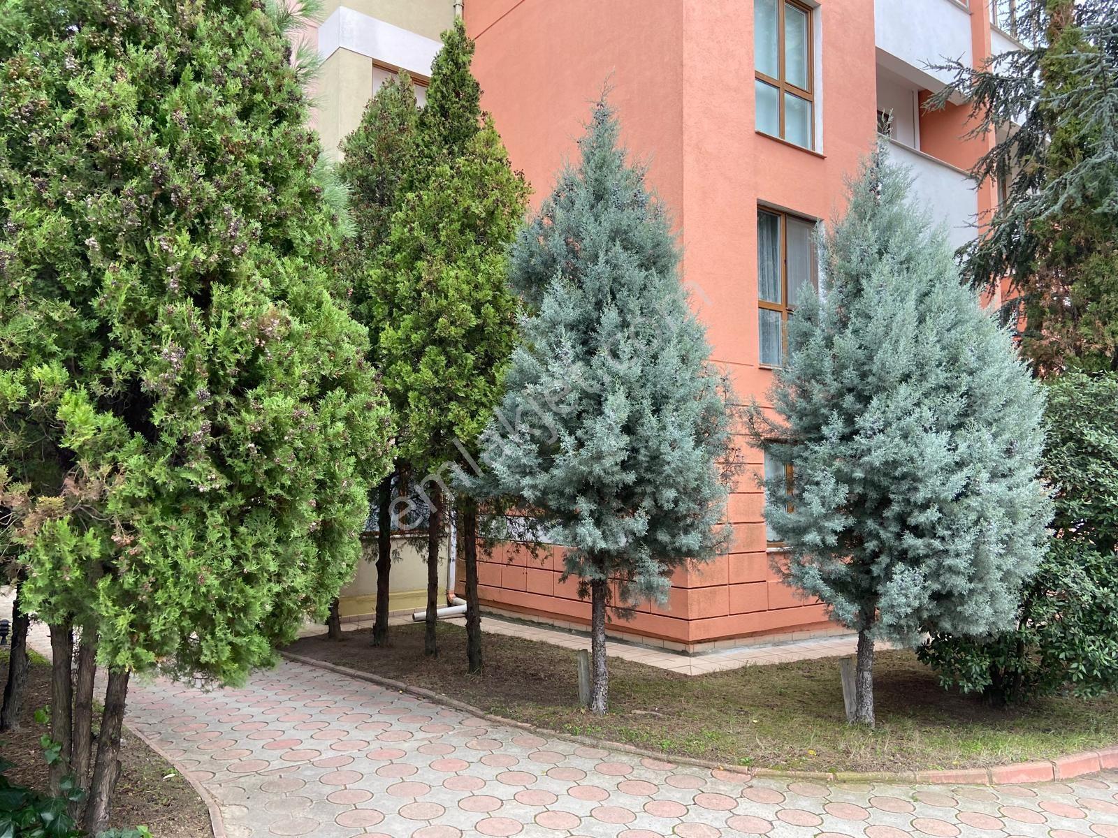 Soho Evleri'nde 4+1 Muhteşem Manzaralı 185 M² Kiralık Daire - Görsel 32