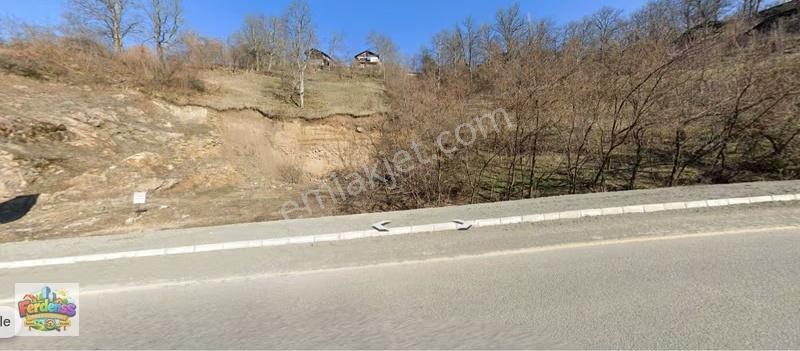 Şavşat'ta Yatırım Fırsatı Satılık Arsa - Görsel 5