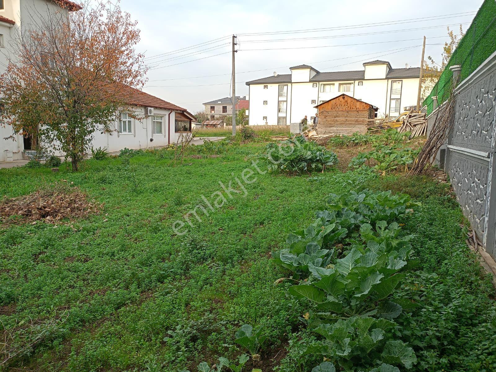 Sakarya Akyazı Merkezde Satılık Arsa - Görsel 6