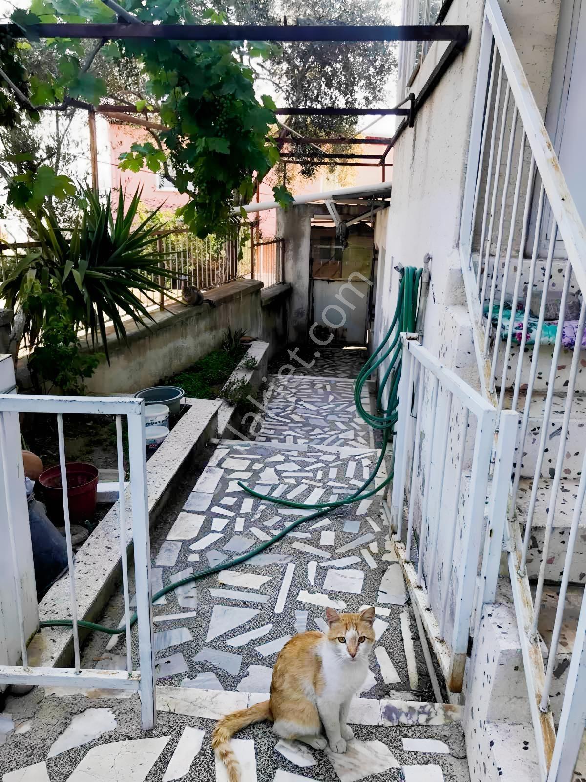 Bornova Atatürk Mah De Müstakil 235 M2 2 Katlı Kople Satı Bina - Görsel 21