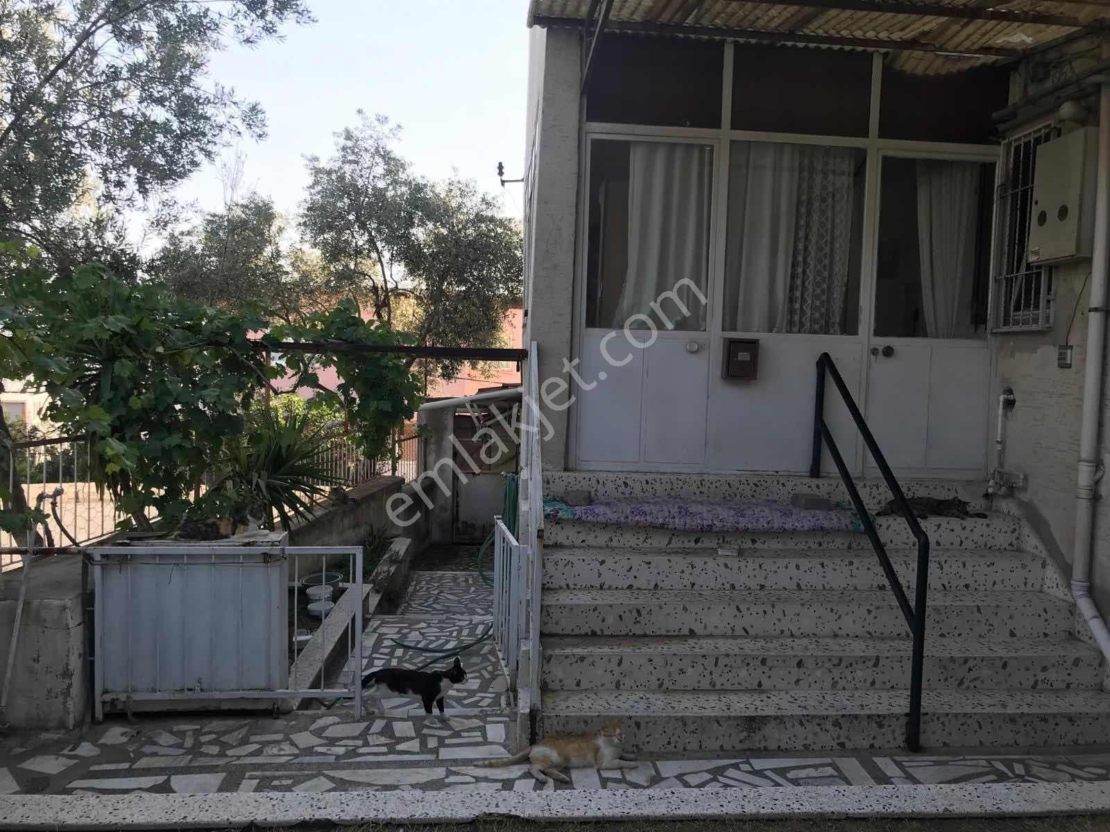 Bornova Atatürk Mah De Müstakil 235 M2 2 Katlı Kople Satı Bina - Görsel 4